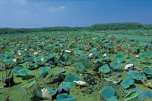 xổ số miền bắc thứ