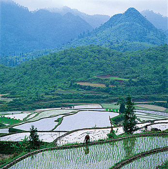 dự đoán xo so