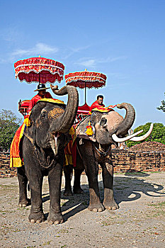 xs vung tau hom nay