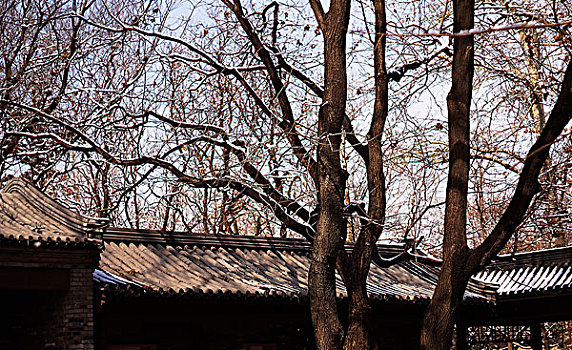 xổ số wap