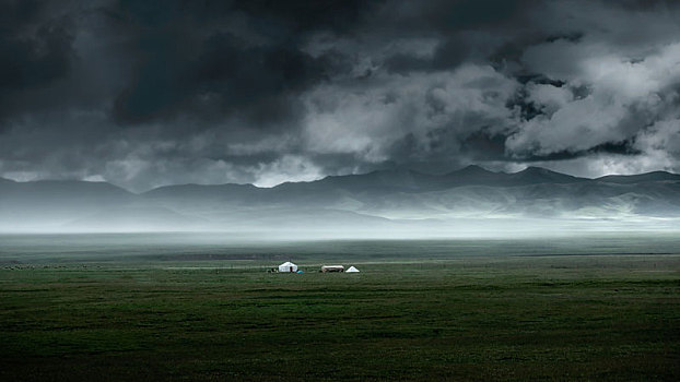 soi cau bach rong kim