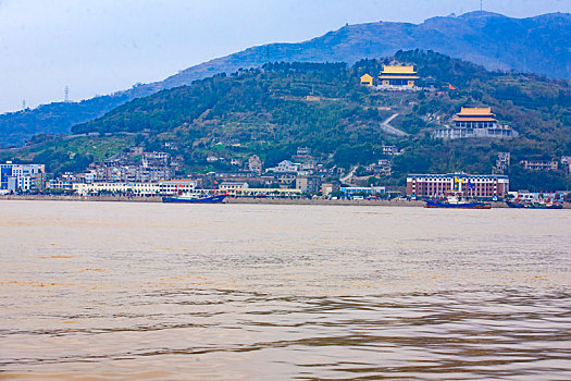soi cau bạch thu