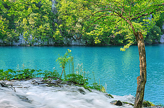 lô rơi miền bắc