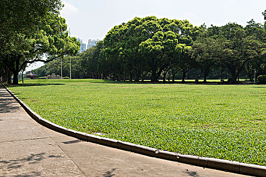 soi cầu bạch thủ hôm nay