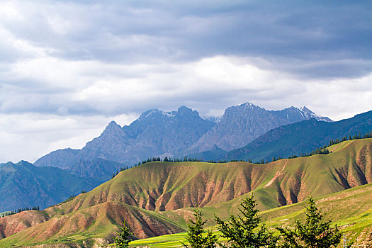 xs quangngai