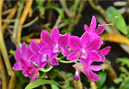 soi cầu lô chính xác 100