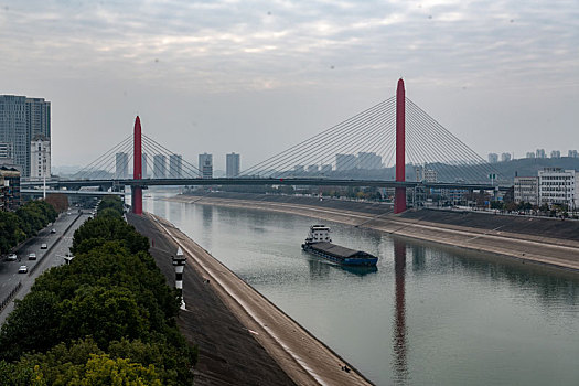 soi cau bach thu mien bac 247